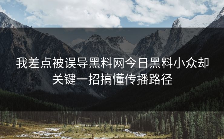 我差点被误导黑料网今日黑料小众却关键一招搞懂传播路径
